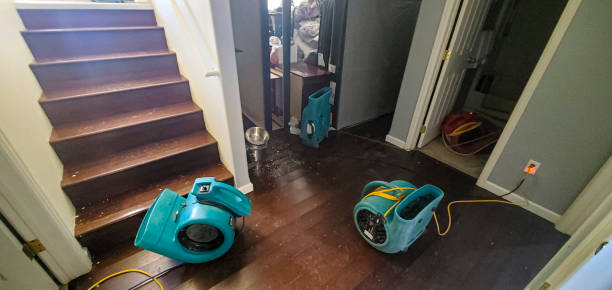 Trusted North Sioux City, SD Water damage restoration Experts