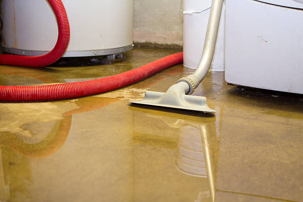 Best Flooded house restoration  in North Sioux City, SD