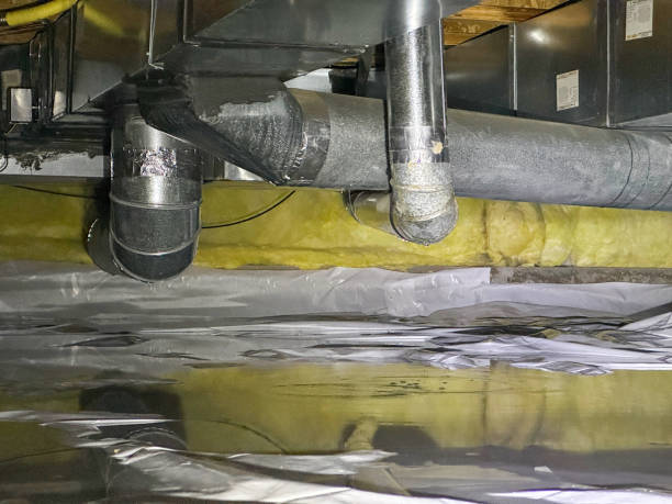 Best Carpet water damage restoration  in North Sioux City, SD