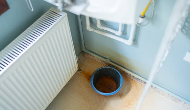  North Sioux City, SD Water damage restoration Pros