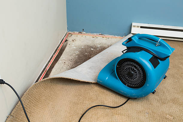 Best Professional water damage repair  in North Sioux City, SD